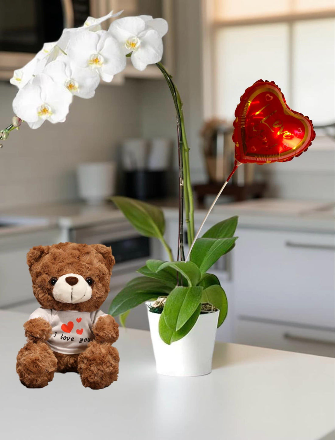 F-P6 ( 1 Stem White Orchid )