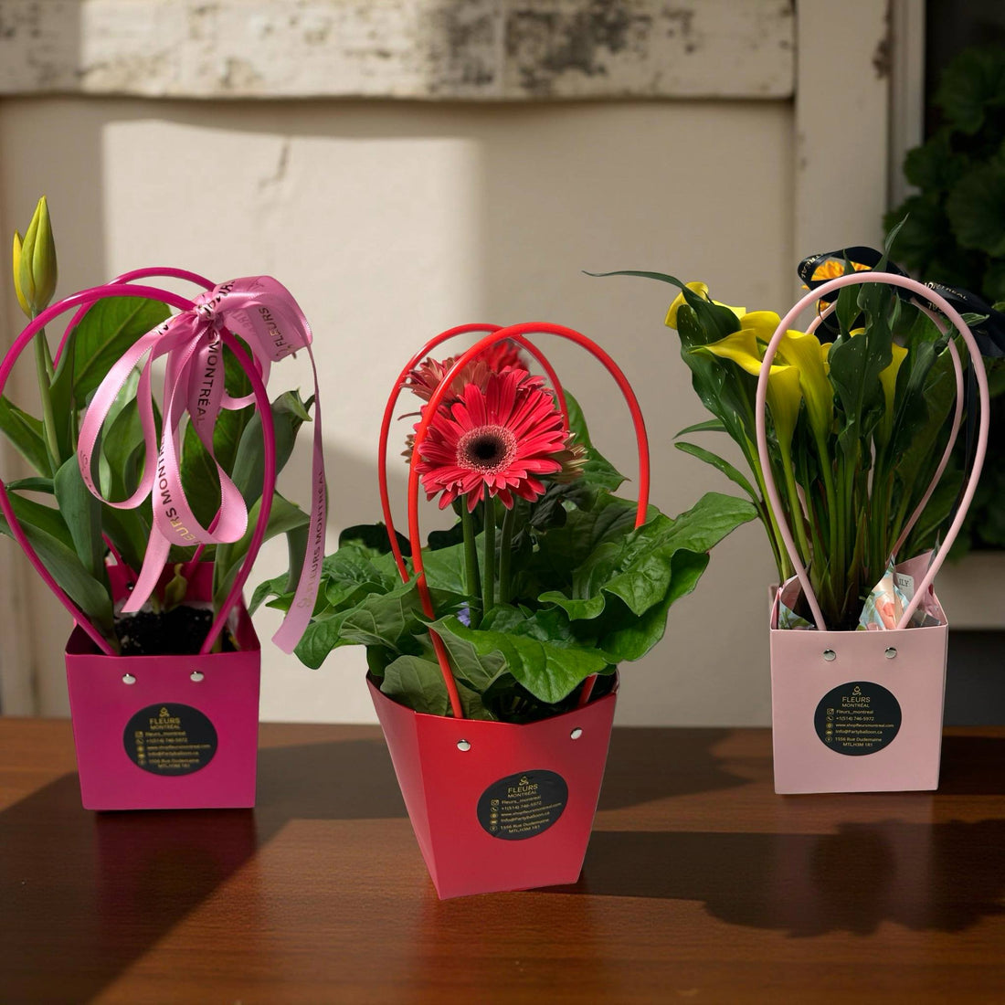 Single Plants ( Gerbera & Calla Lily & tulips )