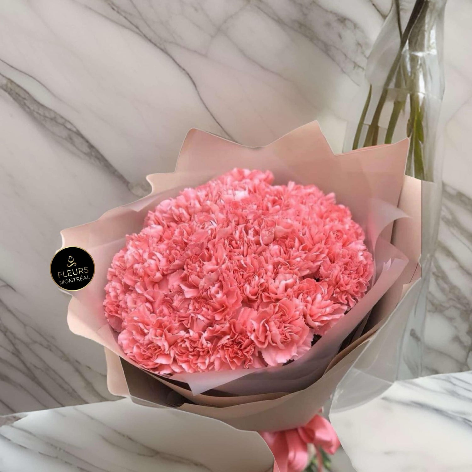 F-C103 ( 25 PCS CORNATION)