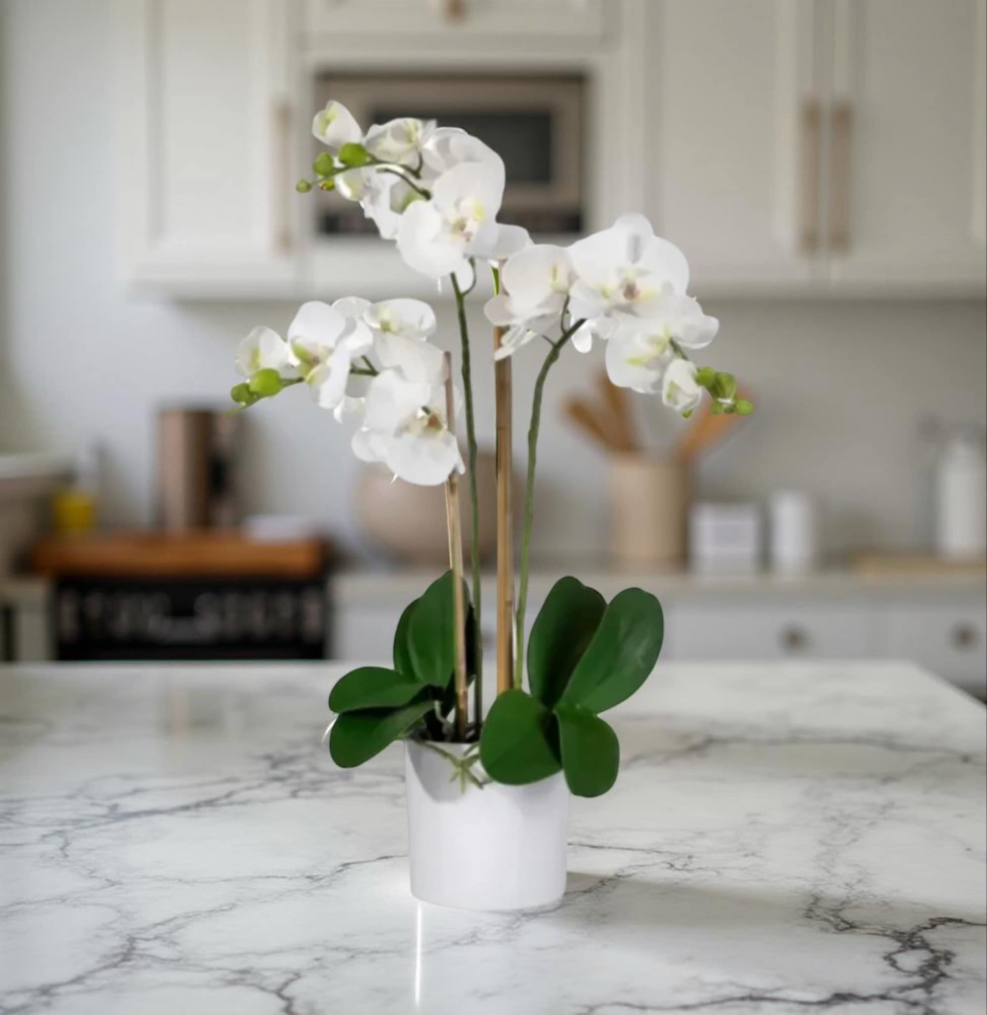 F-P12 ( 3 Stem White Orchid )