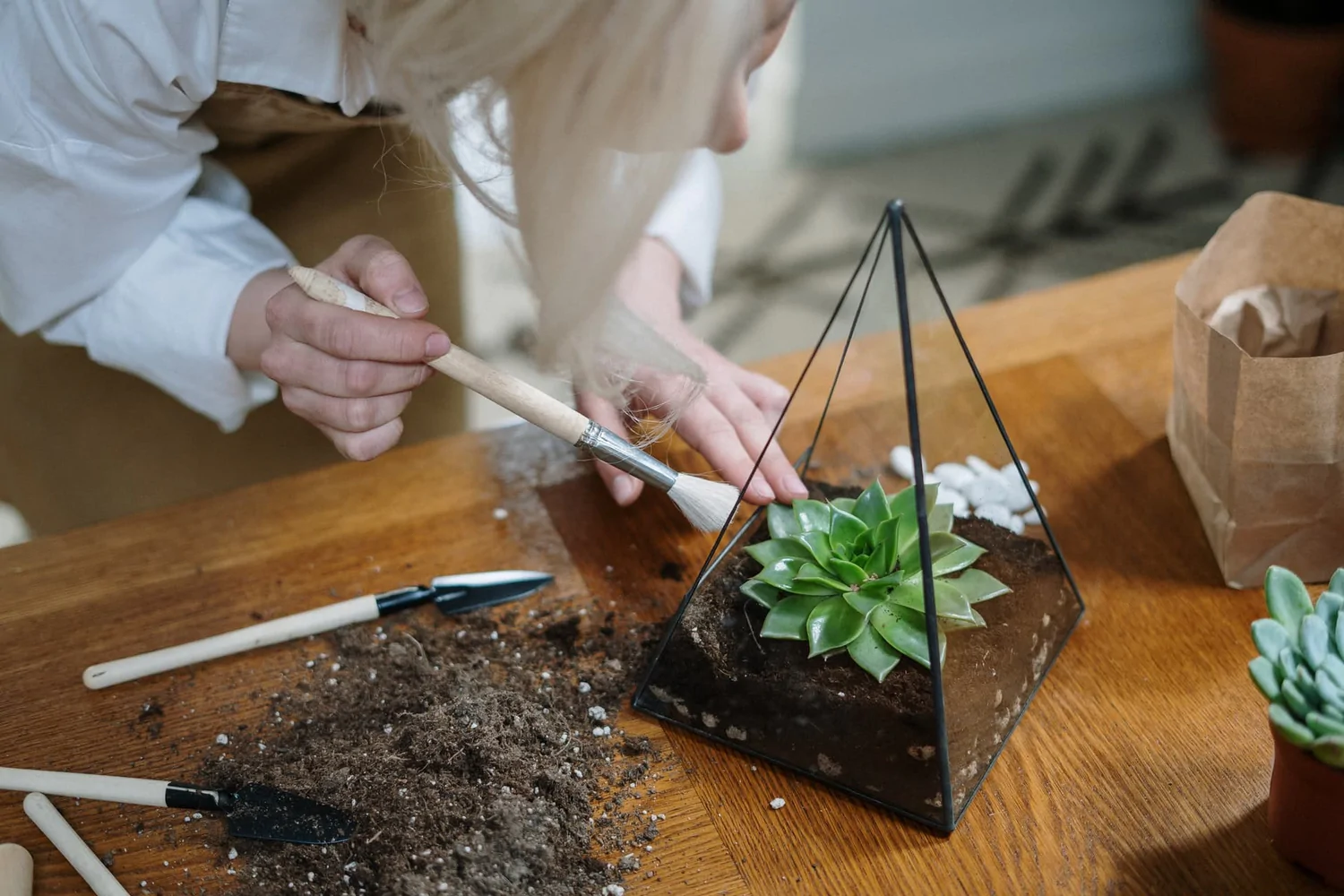 Interior Design With Plants