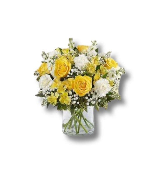 Code: F-A110