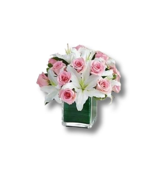 Code: F-A127
