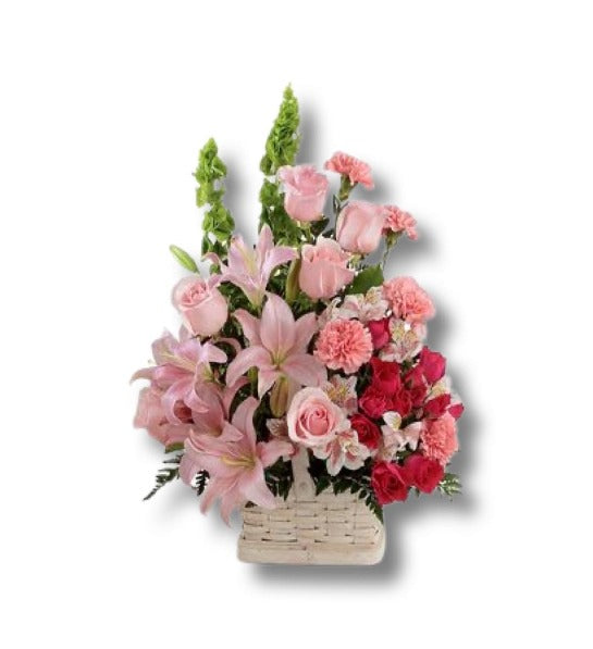 Code: F-F103
