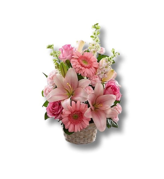 Code: F-S103