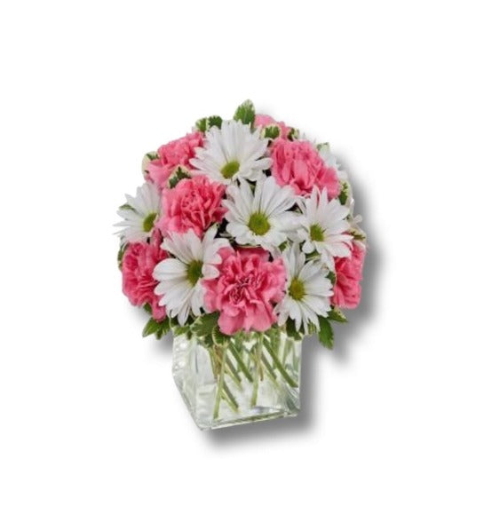 Code: F-A147