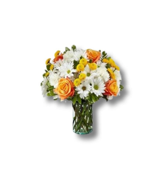 Code: F-A150