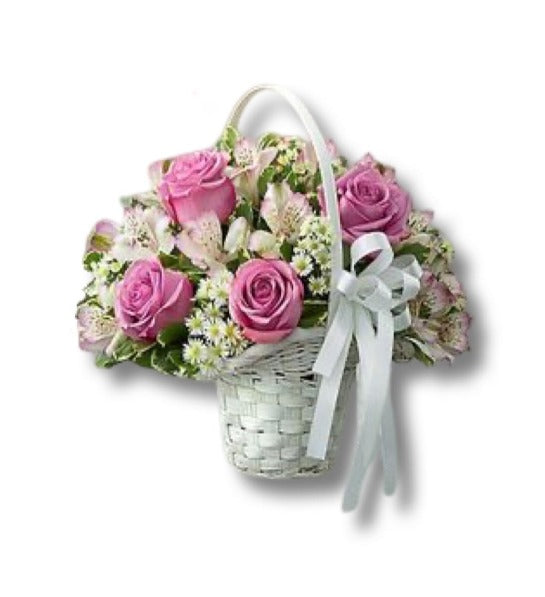 Code: F-S101