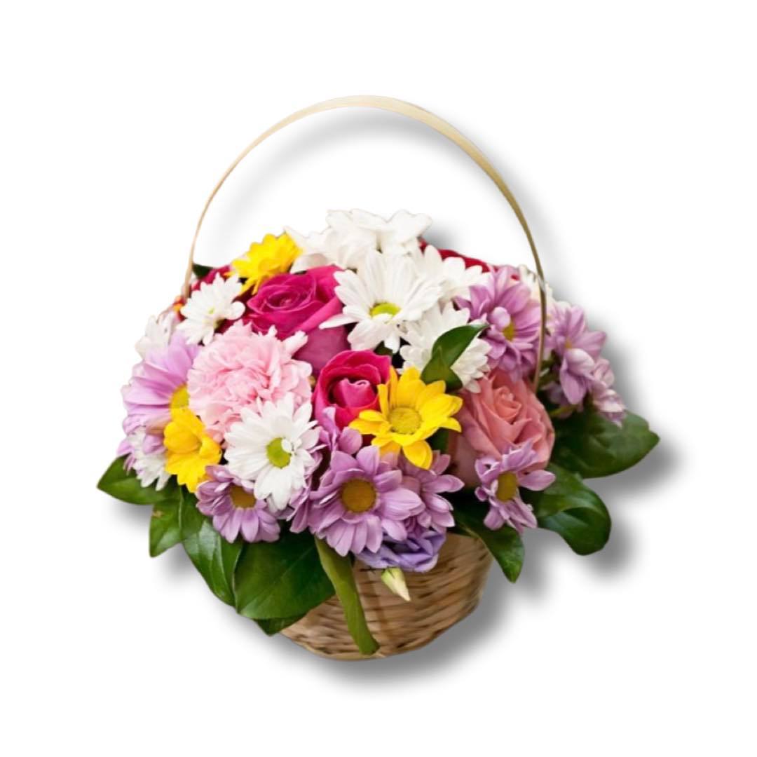 Code:F-S110