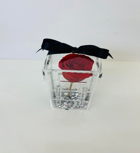 Code:F-D107