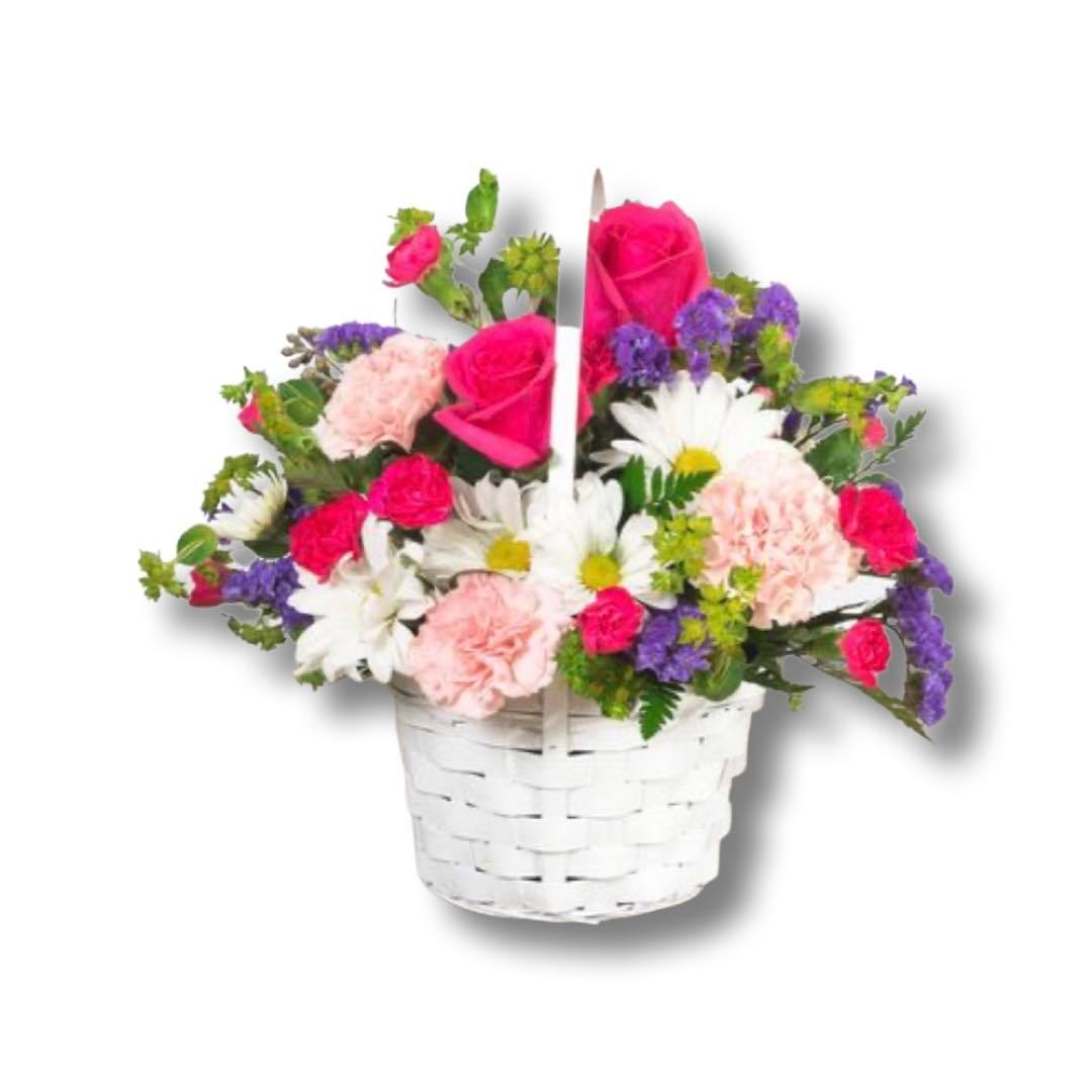 Code:F-S111
